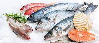 Vom ganzen Fisch zum perfekten Filet: praktischer Meisterkurs für Anfänger und Fortgeschritten (24.05.2025)