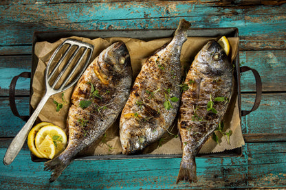 Nachhaltige Fisch-und Lebensmittelverarbeitung - Reste verwerten, Kosten sparen und gesund essen (16.05.2025)